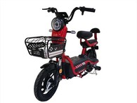 Bici elettrica leggera a prezzi accessibili