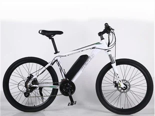 Bicicletta elettrica da montagna 21 marce