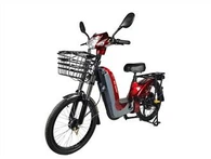 Assisti l'uso familiare della bici elettrica ibrida