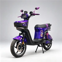 Motocicletta elettrica da 1500 W diretta in fabbrica con vano anteriore chiuso